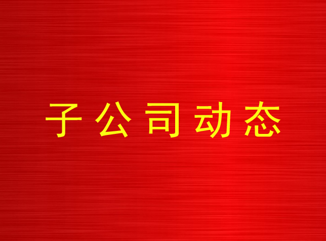 国投置业组织开展消防安全知识培训