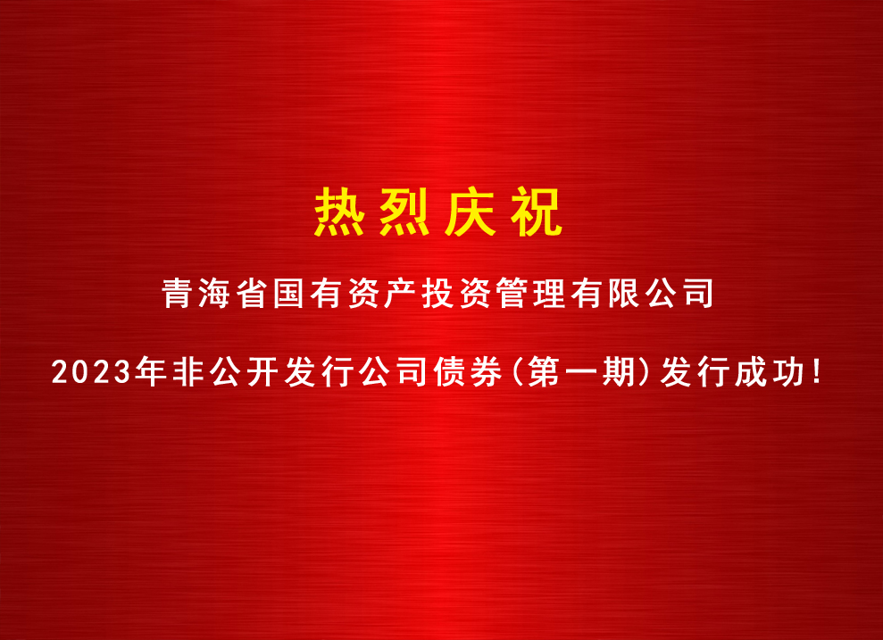 正规买球官方官网（中国）官方网站2023年非公开发行公司债券（第一期）发行成功